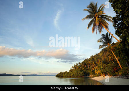 Palmen Sie und Strand von Raja Ampat Dive Lodge auf Wagmab Insel. Raja Ampat, Indonesien Stockfoto