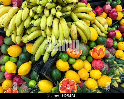 Tropischer Sommerfrüchte im Obstmarkt Stockfoto