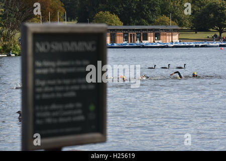 Serpentine, Hyde Park, London, UK. 24. Sep, 2016. Schwimmen Sie, Serpentin Schwimmwettbewerb im Hyde Park. © Matthew Chattle/Alamy Live neu Stockfoto