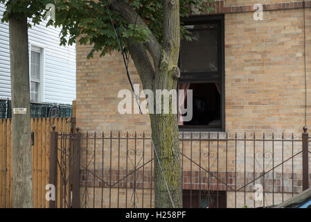 Ridgewood, USA, 24. Sept., lose Kabel versteckt zu dem Baum, Ridgewood, NYC, USA © Maximilian Benner/Alamy Live News Stockfoto