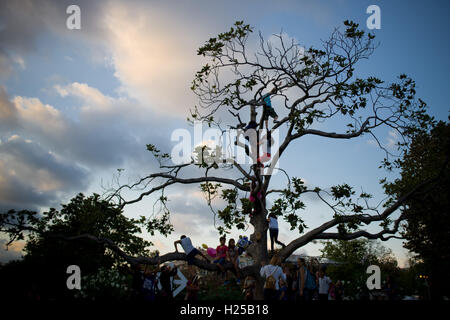 Barcelona, Katalonien, Spanien. 24. Sep, 2016. Kinder genießen einen Kletterbaum in Ciutadella Park von Barcelona. © Jordi Boixareu/ZUMA Draht/Alamy Live-Nachrichten Stockfoto