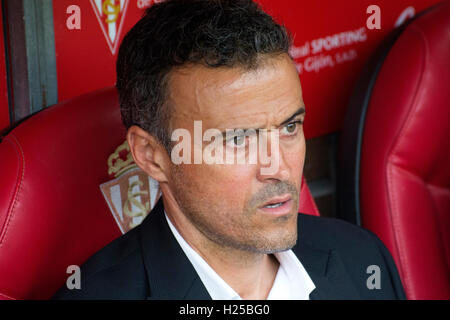 Gijón, Spanien. 24. September 2016. Luis Enrique (Trainer, FC Barcelona) während des Fußballspiels der sechsten Runde der Saison 2016/2017 der spanischen Liga "La Liga" zwischen Real Sporting de Gijon und FC Barcelona Stadium Molinón am 24. September 2016 in Gijon, Spanien. Bildnachweis: David Gato/Alamy Live-Nachrichten Stockfoto