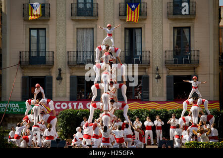 Barcelona, Katalonien, Spanien. 25. September 2016. Mitglieder des La Colla Dels Falcons de Barcelona bauen traditionelle akrobatische Pyramiden anlässlich des la Merce Festival. Bildnachweis: Jordi Boixareu/Alamy Live-Nachrichten Stockfoto