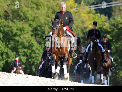 Gomadingen, Deutschland. 25. September 2016. Die Hengstquadrille Wird bin 25.09.2016 in Gomadingen (Baden-Württemberg) von Reitern in der Traditionellen Gardeuniform Geritten. Bei der Alljährlichen Hengstparade weitergeleitet Das Haupt-Und Landgestüts Marbach seine Pferde. Foto: Stefan Puchner/Dpa/Dpa/Alamy Live News Stockfoto