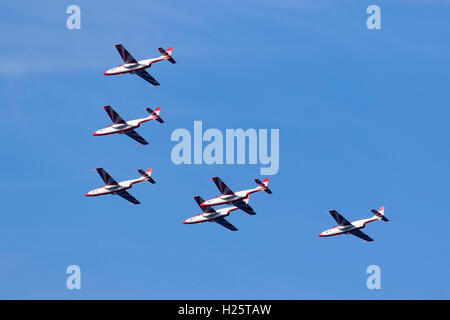 PZL-Mielec TS-11 Iskra Kunstflug Demonstration-Teams der polnischen Luftstreitkräfte ("weiß-roten Funken Team"). Stockfoto