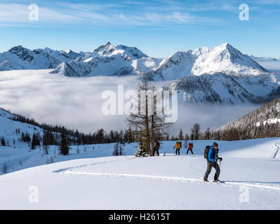 Backcountry Skifahrer verwenden synthetische Felle um zu klettern; Selkirk Mountains in der Nähe von entfernten Mount Carlyle Lodge;  Britisch-Kolumbien; Kanada Stockfoto