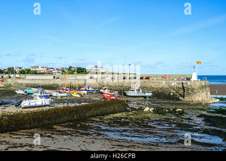 Hafen Sie bei Cemaes Bay an der Küste von Anglesey, in der Grafschaft Gwynedd, Nordwales Stockfoto