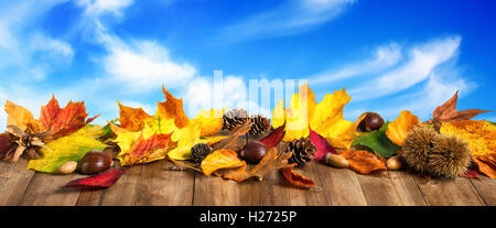 Buntes Herbstlaub, Zapfen und Kastanien auf Holzoberfläche, mit schönen blauen Himmel und weiße Wolken im Hintergrund Stockfoto