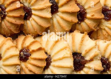 Runde Hafer cookies Stockfoto