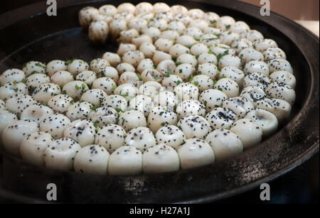 Sheng Jian Bao, Shanghai gebratenes Brötchen Stockfoto