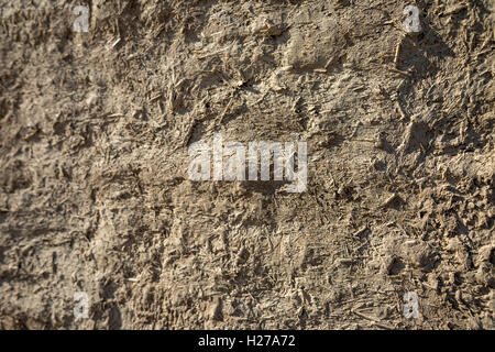 Bushaltestelle mit Schlamm gebaut / Adobe Ziegel in Nordzypern Stockfoto