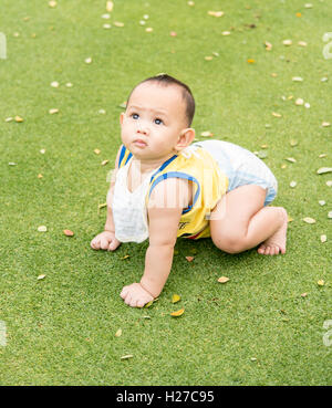 Outdoor Portrait asiatische Babyjungen spielen sitzen und krabbeln auf der grünen Wiese im park Stockfoto