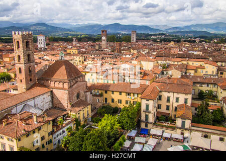 Blick vom Dom (Duomo) Campanile von San Martino am Markttag in Lucca, Toskana, Italien. Stockfoto