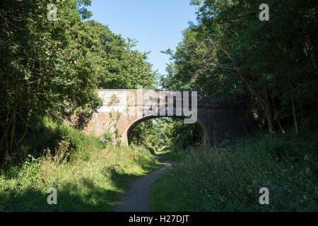Gehen Sie unter Backsteinbrücke über alten Stour Valley Railway im Country Park Clare Suffolk England 2016 Stockfoto