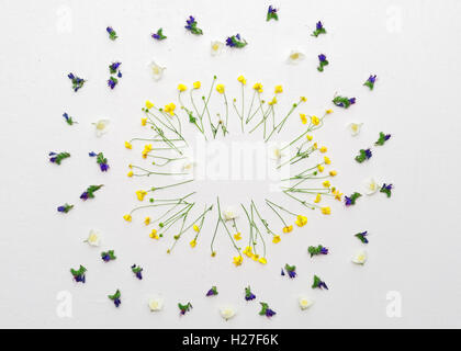 Kranz aus Ranunkeln, Jasmin und lila Wiesenblumen auf dem weißen Hintergrund. Flach zu legen. Stockfoto