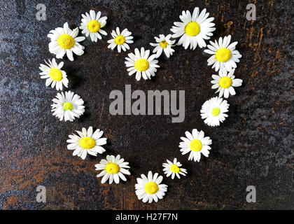 Herz-Kranz-Rahmen mit Kamillenblüten auf Stein mit metallisierten Effekt Hintergrund. Flach zu legen. Stockfoto