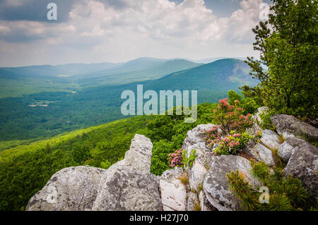 Blick auf den Grat und Tal Appalachen von Tibbet Regler George Washington National Forest, Virginia. Stockfoto