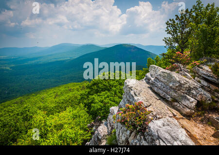 Blick auf den Grat und Tal Appalachen von Tibbet Regler George Washington National Forest, Virginia. Stockfoto