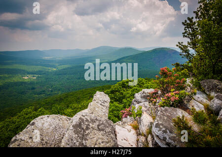 Blick auf den Grat und Tal Appalachen von Tibbet Regler George Washington National Forest, Virginia. Stockfoto