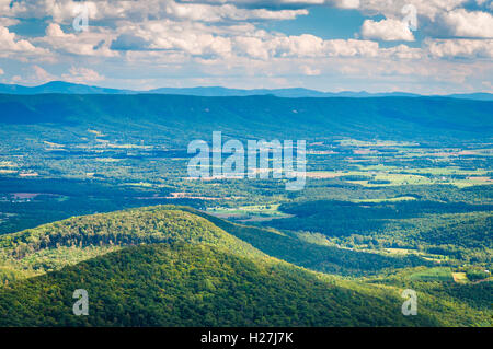 Blick auf den Shenandoah-Tal und der Appalachen von der Mühle Mountain Trail in der Nähe von großen Schloss in George Washington Natio Stockfoto