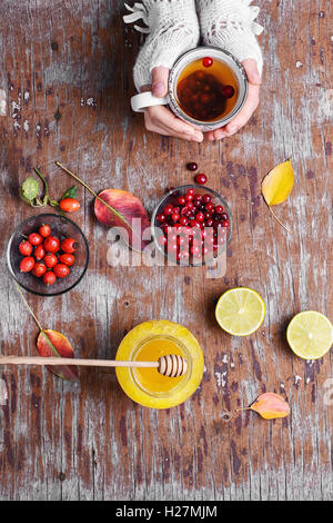 Tasse wärmenden Tee und medizinische Beeren, Hagebutten, Preiselbeeren und Honig Stockfoto