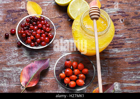 Herbst Abhilfe mit Honig, Hagebutten und Preiselbeeren Stockfoto