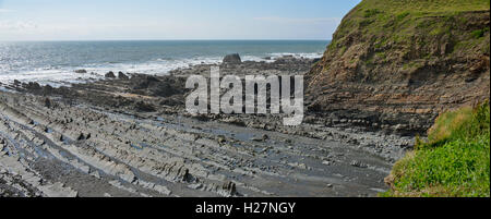 Bei Ebbe am Strand Welcombe Mund und Headland, Devon Stockfoto