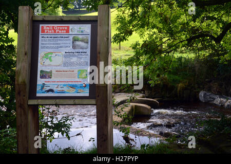 Hölzerne Informationstafel am Ball Grove Fish Pass auf dem Ferndean Way in Colne Water in Colne, Pendle Lancashire, England, Großbritannien Stockfoto