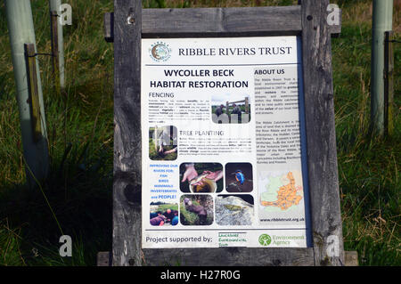 Wiederherstellung des Lebensraums des Ribble River Trust bei Wycoller Beck in Colne, Pendle, Lancashire, England, Großbritannien Stockfoto