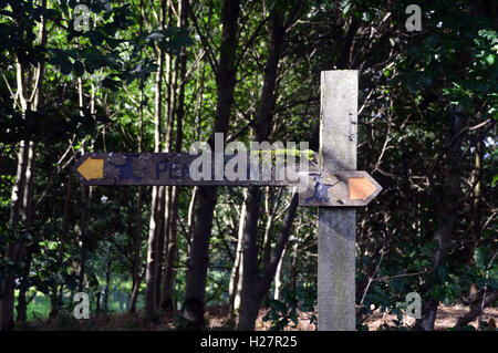 Wegweiser aus Holz auf dem Pendle Weg in der Nähe in den Weiler Wycoller, Colne, Pendle, Lancashire, England, UK. Stockfoto