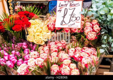 London, Vereinigtes Königreich - 11. September 2016: Columbia Road Flower Sonntagsmarkt. Luxus-Rosen Stockfoto