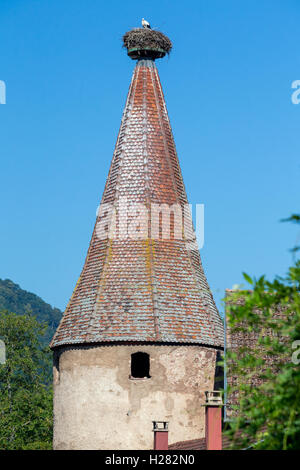 Störche nisten auf einem Turm in Ribeauvillé, Elsass, Frankreich Stockfoto