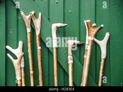 Eine Auswahl von Stöcken Hand in Handarbeit mit Geweih und Hirsche Hufe auf dem Display vor Geschäft. Hazel Thumbsticks, Hirschhorn. Stockfoto