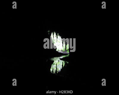 Die Guacharo-Höhle-Nationalpark Caripe, Monagas, Venezuela. Stockfoto