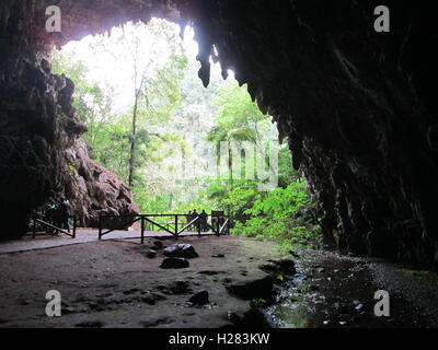 Guacharo-Höhle-Nationalpark Stockfoto