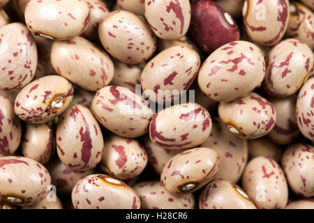 Bohnen sind für den Verkauf in einem lokalen Markt Indien Stockfoto