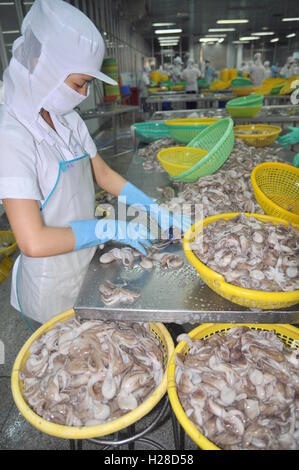 Vung Tau, Vietnam - 28. September 2011: Eine Arbeitnehmerin ist Krake für den Export in eine Verarbeitung von Meeresfrüchten Fabrik Klassifizierung Stockfoto
