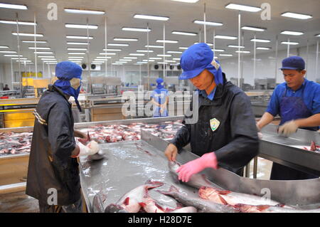 Can Tho, Vietnam - 1. Juli 2011: Arbeitnehmer sind Tötung Pangasius-Wels vor der Übertragung, die sie mit der nächsten Verarbeitung in Linie einer Stockfoto