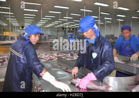 Can Tho, Vietnam - 1. Juli 2011: Arbeitnehmer sind Tötung Pangasius-Wels vor der Übertragung, die sie mit der nächsten Verarbeitung in Linie einer Stockfoto