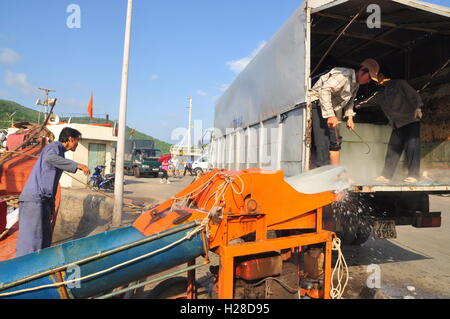 Con Dao, Viet Nam - 2. Juli 2012: Träger sind Rasieren Eis in der lokalen Hafenstadt der Insel Con Dao in Vietnam Stockfoto