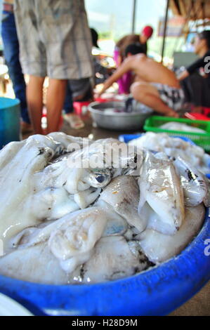 Con Dao, Viet Nam - 2. Juli 2012: Tintenfische, die von den lokalen Fischern gefangen sind für den Verkauf auf der Insel von Vietnam Con Dao Stockfoto