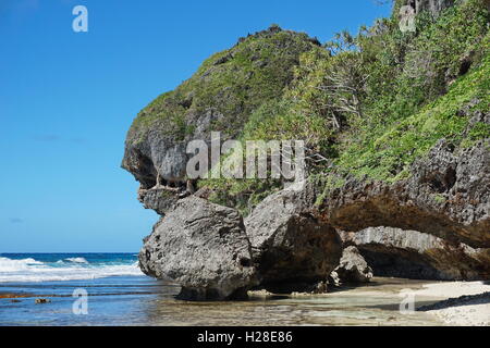 Felsigen Naturgebilde auf der Insel Rurutu, Klippe, das aussieht wie ein Monster Kopf am Ufer Meeres, Französisch-Polynesien Stockfoto