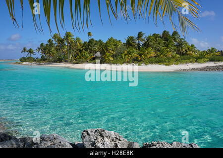 Tropischen Insel mit türkisfarbenem Wasser, Atoll Tikehau, Tuamotu-Archipel, Französisch-Polynesien, Pazifik Stockfoto