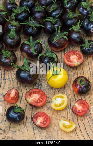 Gelbe Tomaten und schwarze Tomaten Indigo Rose ganze und halbierte auf Holz Stockfoto