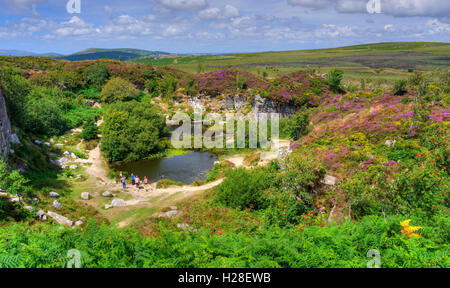 Birdseye Blick auf einer stillgelegten Steinbruch mit lila Heidekraut blühen auf Haytor Down. Stockfoto