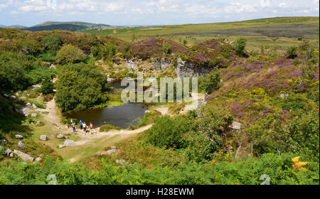 Birdseye Blick auf einer stillgelegten Steinbruch mit lila Heidekraut blühen auf Haytor Down. Stockfoto