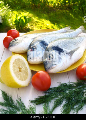 Dorado Fisch grillen Vorbereitung auf den sonnigen Garten Hintergrund Stockfoto