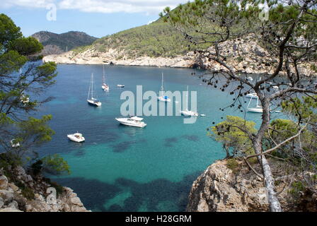 Cala San Miguel, Ibiza, Spanien Stockfoto