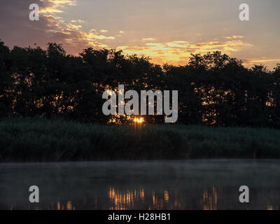 Sonnenaufgang im Fluss mit Reflex. Gespiegelte Waldgrenze am Fluss. Fantastische neblig Fluss mit frischen grünen Rasen in der sonnigen b Stockfoto