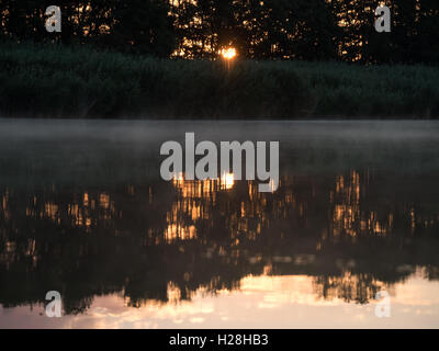 Sonnenaufgang im Fluss mit Reflex. Gespiegelte Waldgrenze am Fluss. Fantastische neblig Fluss mit frischen grünen Rasen in der sonnigen b Stockfoto